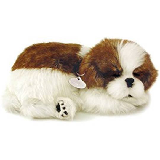 Perfect Petzzz Shih Tzu